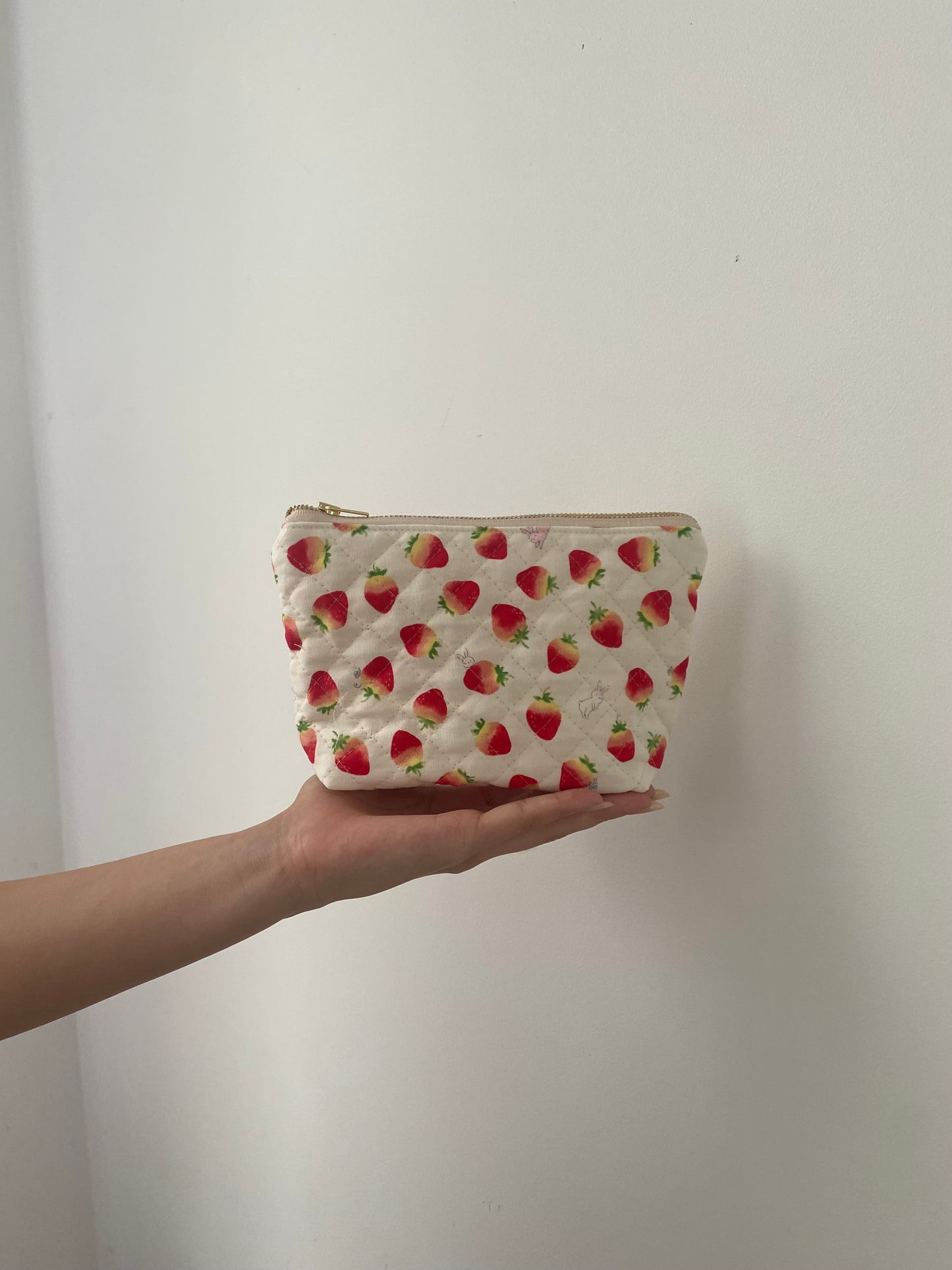 Strawberry makeup pouch(small)
